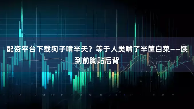 配资平台下载狗子啃半天？等于人类啃了半筐白菜——饿到前胸贴后背