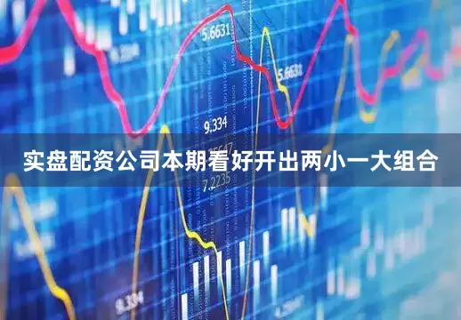 实盘配资公司本期看好开出两小一大组合